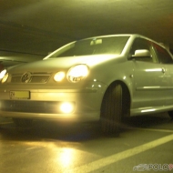 Polo 9N Highline von Sear