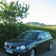 Polo 9N Trendline von Andi