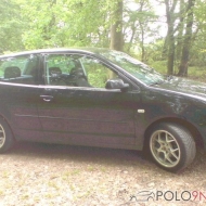 Polo 9N Trendline von KnatZen