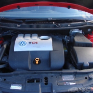 Polo 9N Trendline von Polo62
