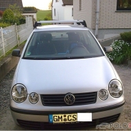 Polo 9N Trendline von Polo88