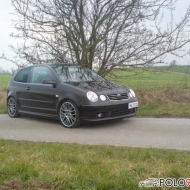 Polo 9N Trendline von Porter