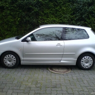 Polo 9N Trendline von reel