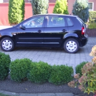Polo 9N Trendline von schorni