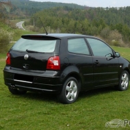 Polo 9N Trendline von swift