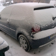 Polo 9N3 BlueMotion von BMF