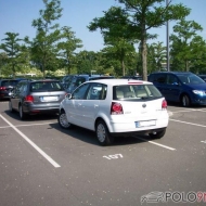 Polo 9N3 Comfortline von Juiceplus