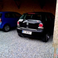Polo 9N3 Comfortline von Neon