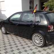 Polo 9N3 Comfortline von pro