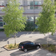Polo 9N3 Comfortline von vwpolo2006