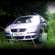 ... Ausflug in den Wald ...