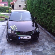 Polo 9N3 GTI von 13izzard