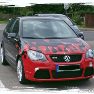 Polo 9N3 GTI CUP Edition von MSC