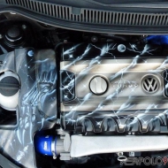 Polo 9N3 GTI von luckypat