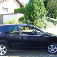 Polo 9N3 GTI von mist