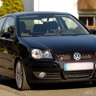 Polo 9N3 Sportline von 667