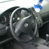 Polo 9N3 Sportline von Cathy