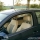 Volkswagen VW Polo 9N3 Sportline Modelljahr 2006 mit der Motorisierung 1.4L 16V - 55 kW (75 PS) in der Farbe  vom Mitglied FranzFerdinand aus Madrid
