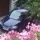 Volkswagen VW Polo 9N3 Sportline Modelljahr 2009 mit der Motorisierung 1.9L TDI - 96 kW (130 PS) in der Farbe Shadow Blue Metallic P6P6 vom Mitglied Stef87 aus Hildburghausen