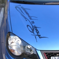 Polo 9N3 Trendline von LaeLa