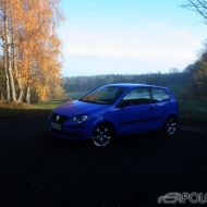 Polo 9N3 Trendline von meitsky