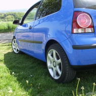 Polo 9N3 Trendline von Polo82