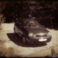 Polo  von Adamski_9N