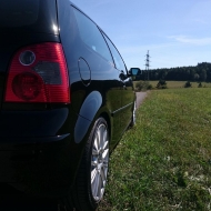 Polo Bilder 2018 von Thomas92
