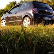 Polo  von blackperl