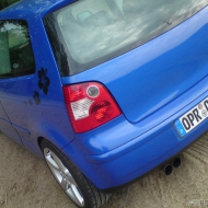 Polo  von CaRo_LiiNe