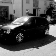 Polo  von crime