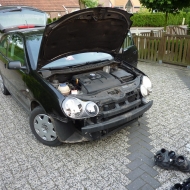 Polo von Darkmatrix