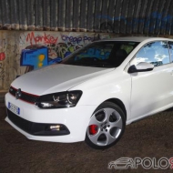 Polo  von EvolutionPolo
