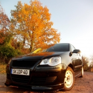 Polo  von f3lix23