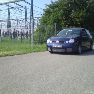 Polo  von Frankkyy