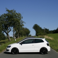 Polo  von Fringsman93