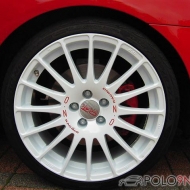 Polo Gti von Muehlinik