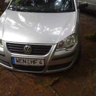 Polo  von Habe