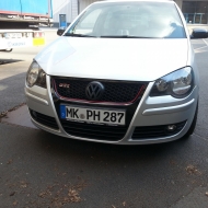Polo  von Hirsch287