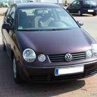 Polo  von Kalle2011
