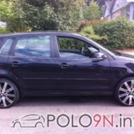 Polo  von KatharinaD