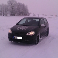 Polo  von Knut91