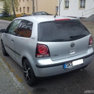 Polo  von Koch$eN