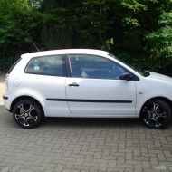 Polo  von ML