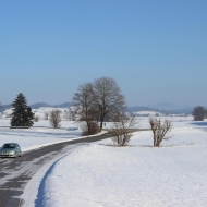 Winter Wonderland