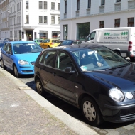 Blue Shadow und Elli's Polo 
