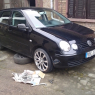 Polo  von Natore