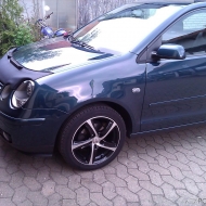 Polo  von onegreenelephant