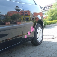 Polo  von pink