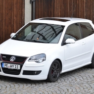 Polo von Piwi81